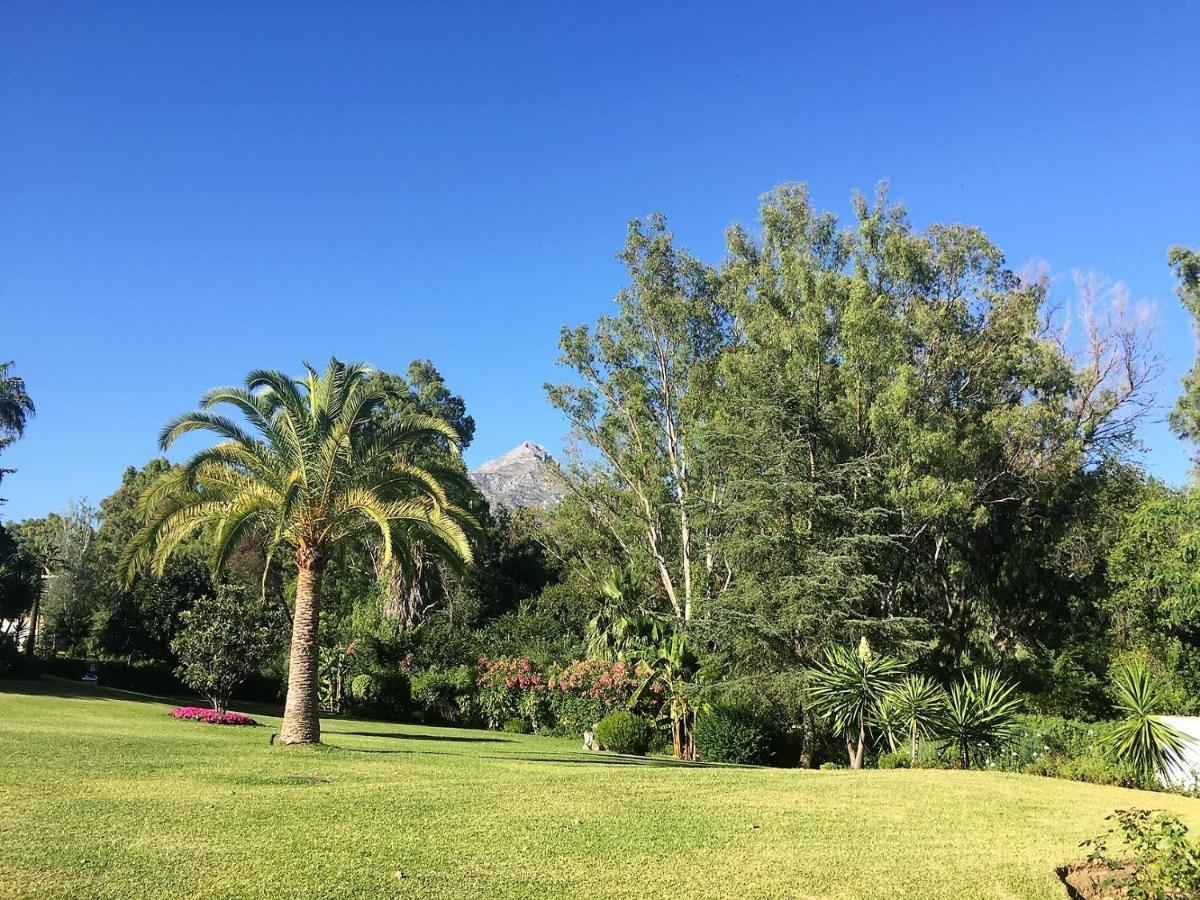 Nueva Andalucia - Penthouse Lägenhet Marbella Exteriör bild